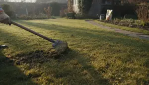 So vermeiden Sie einen stark vermoosten Rasen im Frühjahr